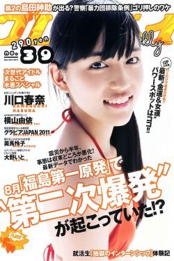 夏之光