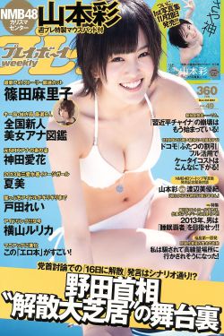 婚姻攻略免费观看全集