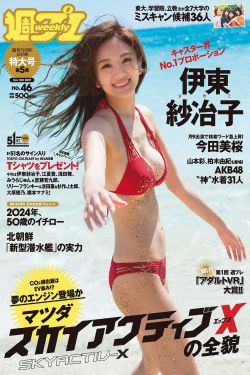 三十六式